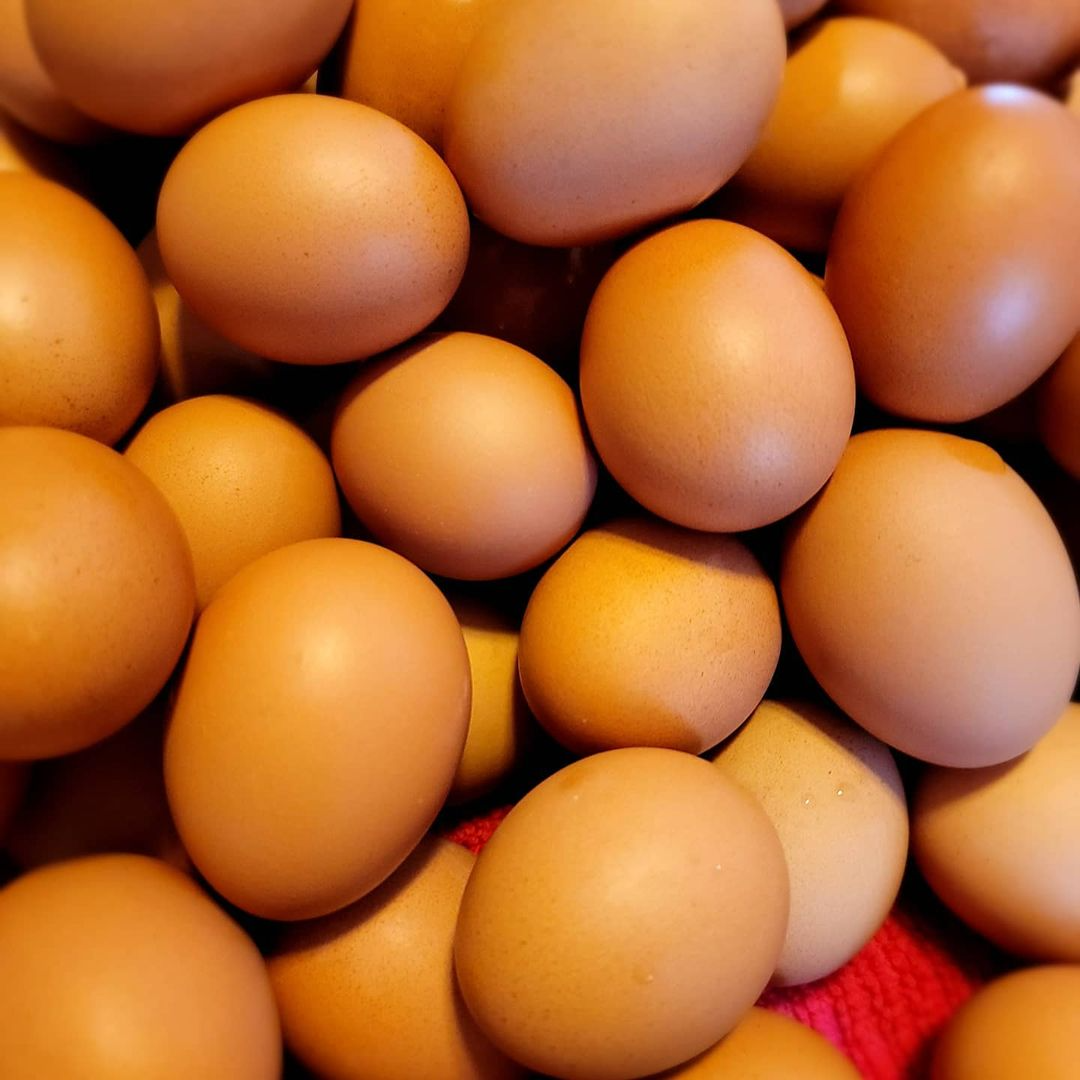 Free Range Chicken Eggs 1 Dozen Brown Market Wagon Online Farmers Markets And Local Food Delivery